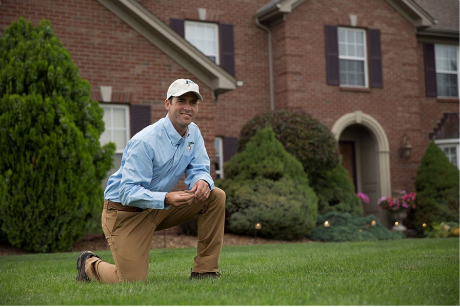 Cover photo of Lawn Doctor of Woodbridge-Manassas-Dumfries