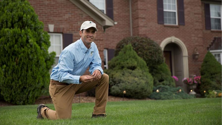 Cover photo of Lawn Doctor of Woodbridge-Manassas-Dumfries